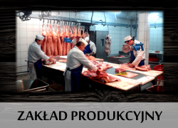 Zakad produkcyjny